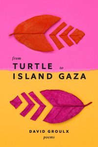 From Turtle Island to Gaza