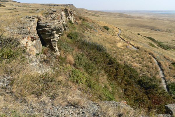 A photograph of Head-Smashed-In