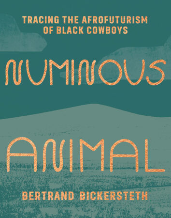 Numinous Animal book cover
