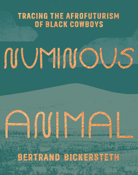 Numinous Animal book cover