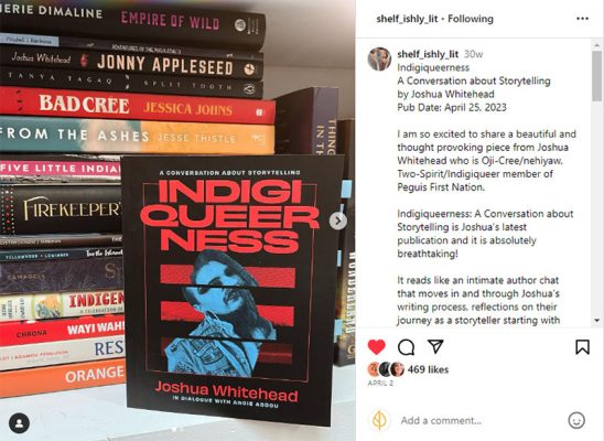 Engaging-Virtually-Indigiqueerness